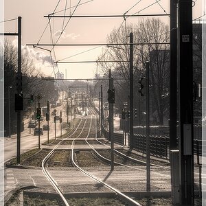 DSC1001 nff