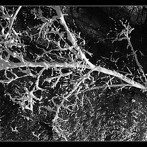 Draußen im Schnee 1999