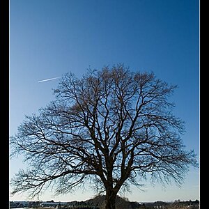 Draußen im Schnee 2036
