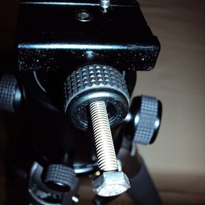 DSC01559