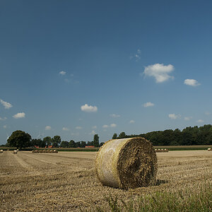 Münsterland DSC4972