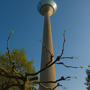 Fernsehturm D dorf  DSC2777