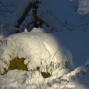 Schnee