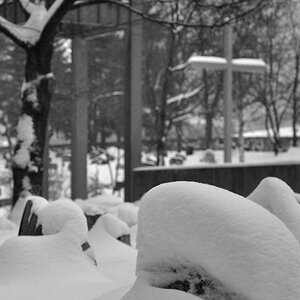 DSC 0178a