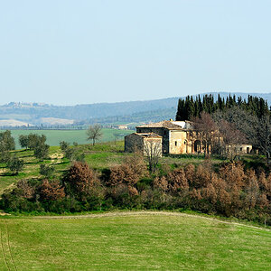 grün