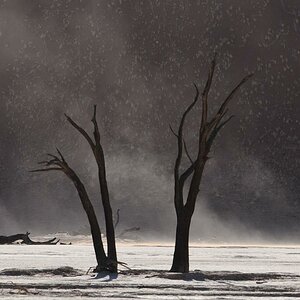 Deadvlei
