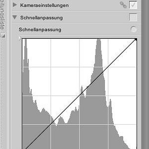 raw verlusfrei komprimiert