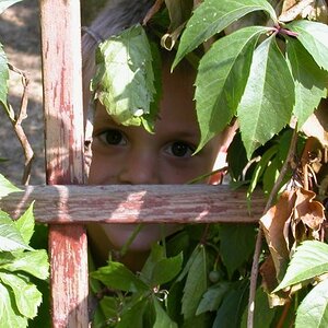 Durchblick