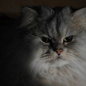Dwalin beim SB-900 Test