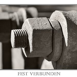 Fest verbunden