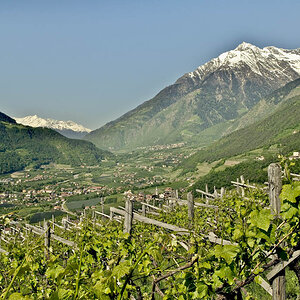 Frühling in Südtirol
(aufgenommen in Dorf Tirol)