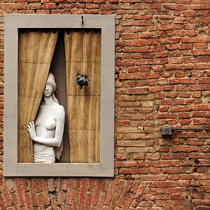 die Frau im Fenster