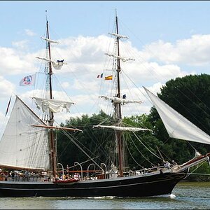 Brigg Morgenster 1