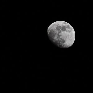 comp DSC 6497