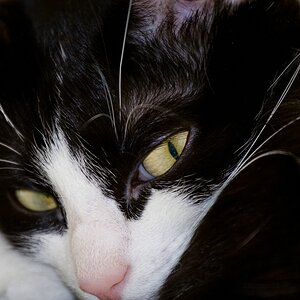 web IMG 2659