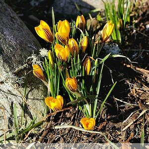 20100309 019 1