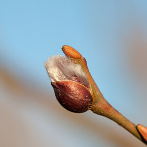 2010 03 09 17 23 04 1