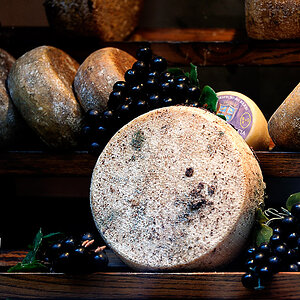Pecorino