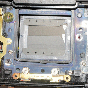 D80: Rahmen für den Sensor, man sieht den Verschluss