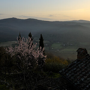 mein morgentlicher Wettercheck, Blick aus dem Fenster