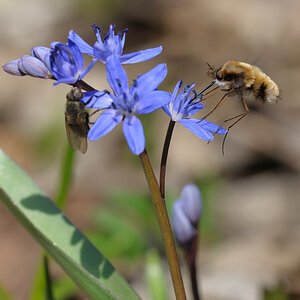 20100324 161207 D3N 7869 copy