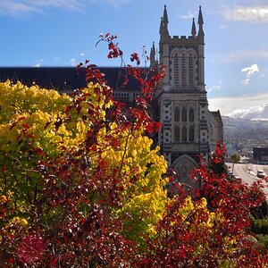 Dunedin Church Ausblick vom Hostel
Dunedin, Neuseeland
ISO 200 - 18mm - F22 - 1/80s