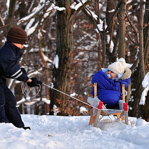 2010 01 12 030 mitBennyimWald