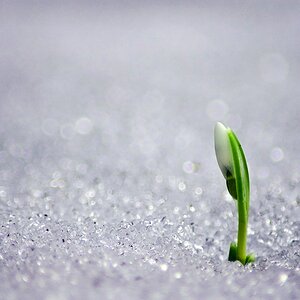 Erster (2)