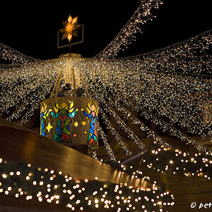 DSC1184 a 20081128 CR 800x  Das Gewebe aus Lichtpunkten über den Ständen auf dem Mainzer Weihnachtsmarkt
