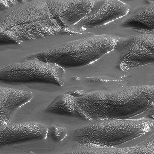 St Peter Ording April 06 072