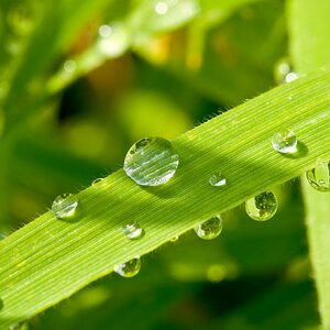 Wassertropfen