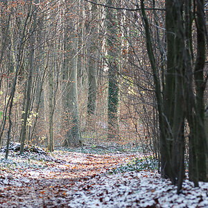 winter