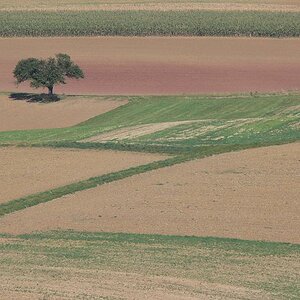Ronneburg 09.06 042