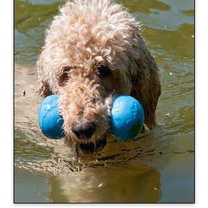 lasseKalender2009 Seite 08