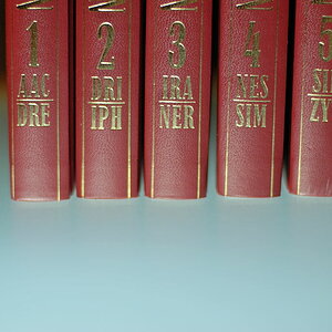 123