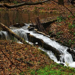 Bachlauf im Herbst