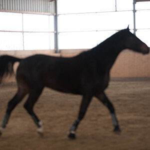 20090102 DSC 0527