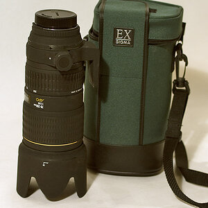 sigma70 200