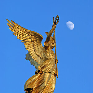 berlin goldelse mond
