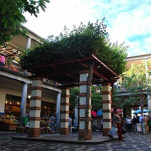 Madeira 03.12 (21)