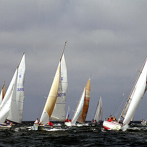 Regatta 91 roh w
