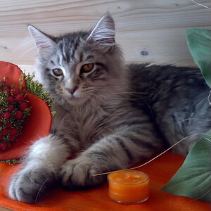 Silver
