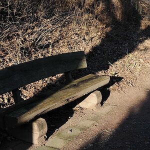 Bank im Schatten 4