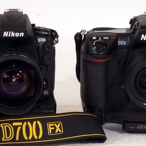 Fuji 16 85 Crop