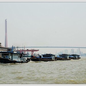 Yangpu Brücke Shanghai/China