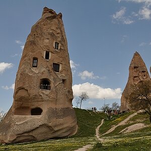 DSC 1200