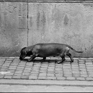Neg2010 228