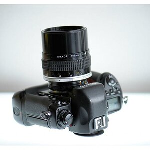 Nikon F5 • AIS 105/1.8