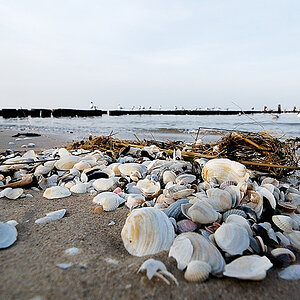 20100322 18 Kur