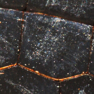 Libellenflügel 100%crop, unbearbeitet (außer etwas aufgehellt)